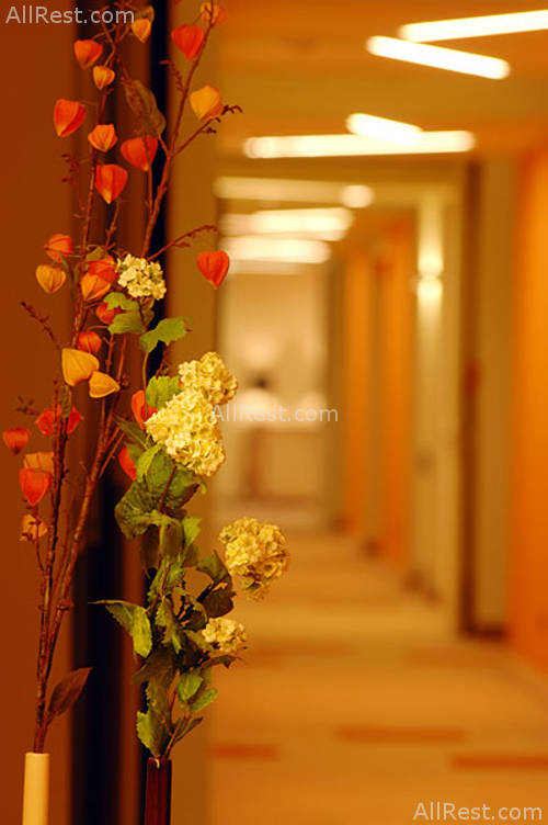 Eden Hotel 11